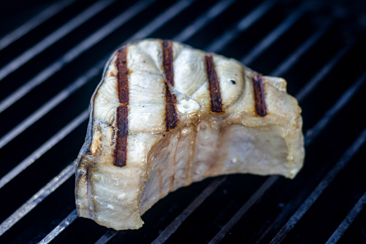black tip shark recipe:Recipe for Blacktip Shark