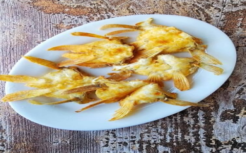 black tip shark recipe：Recipe for Blacktip Shark
