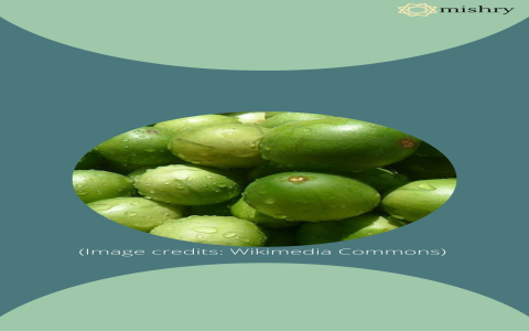 urava fruit：Uruava Berries