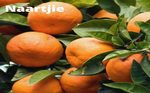 n fruit name：Name of the Fruit