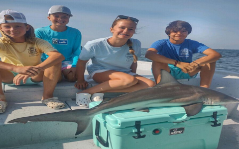 blacktip shark recipes：Recipes Featuring Blacktip Shark
