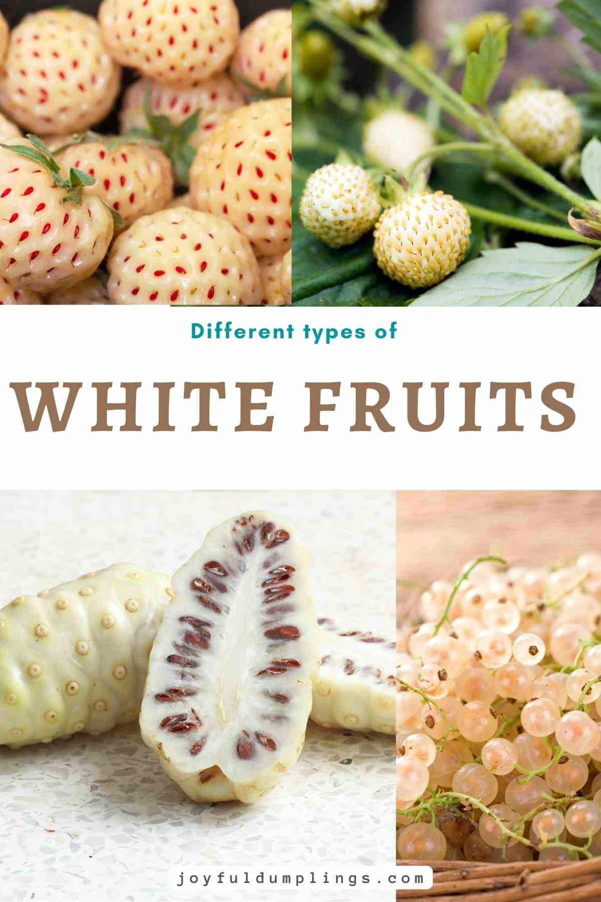 white fruits：Pale Fruits
