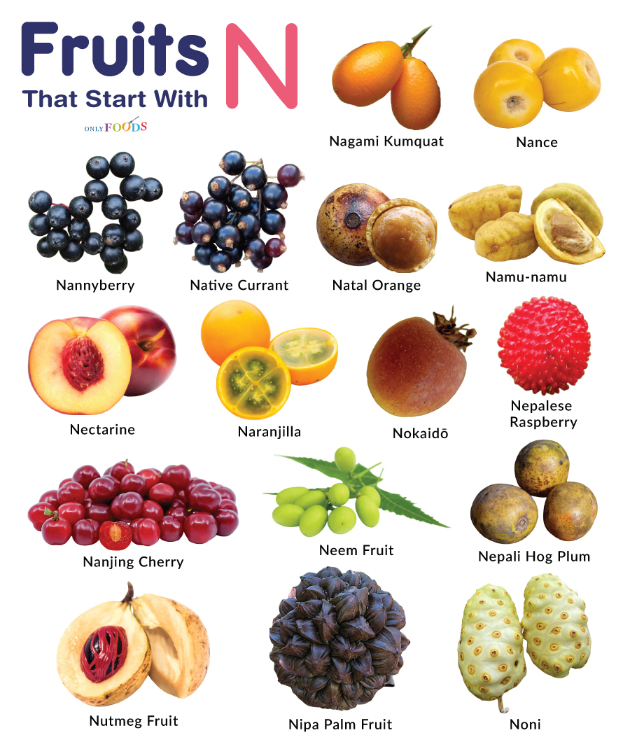 n fruit name:Name of the Fruit