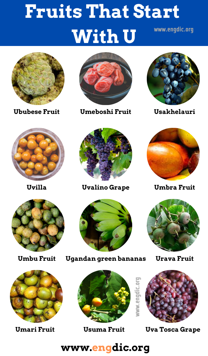 urava fruit:Uruava Berries