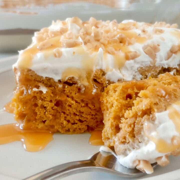 pumpkin infused cake with condensed milk drizzle