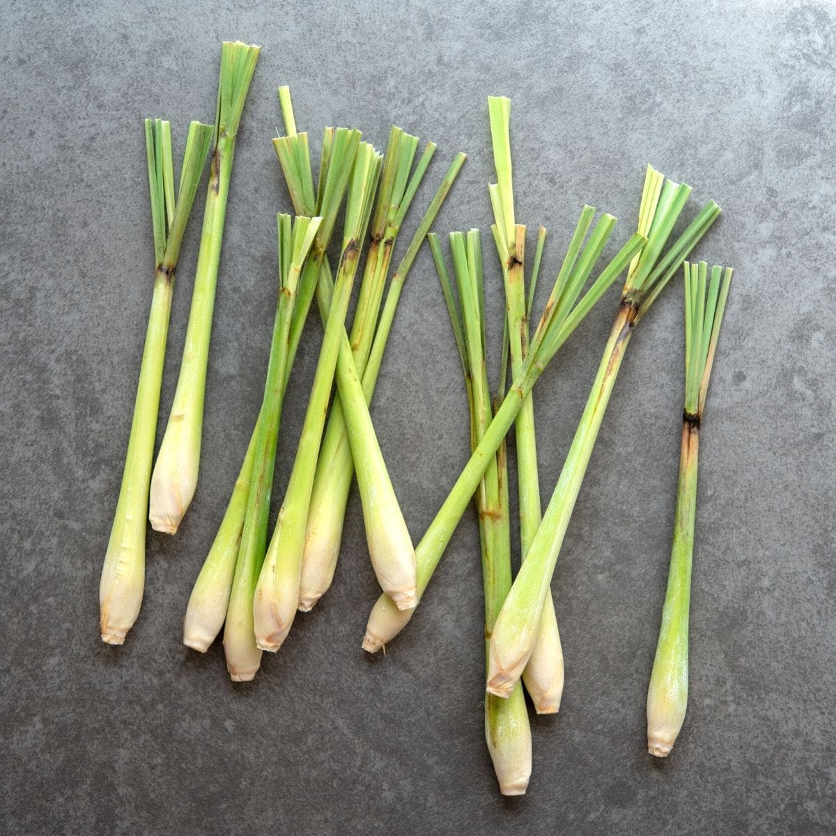 alternatives to lemongrass in thai recipes