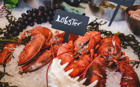 comparing canadian lobster and maine lobster