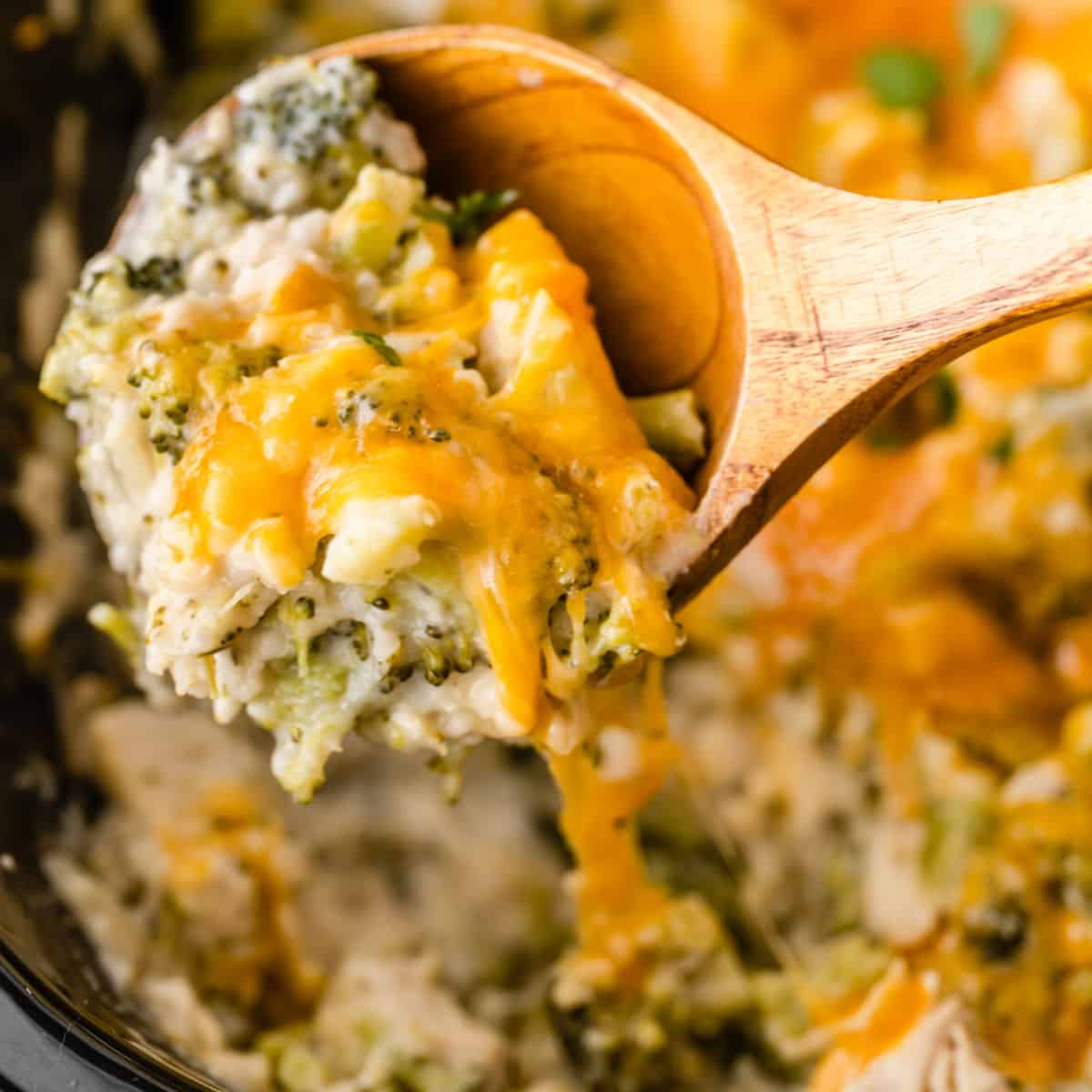 slow cooker chicken broccoli rice and cheese bake