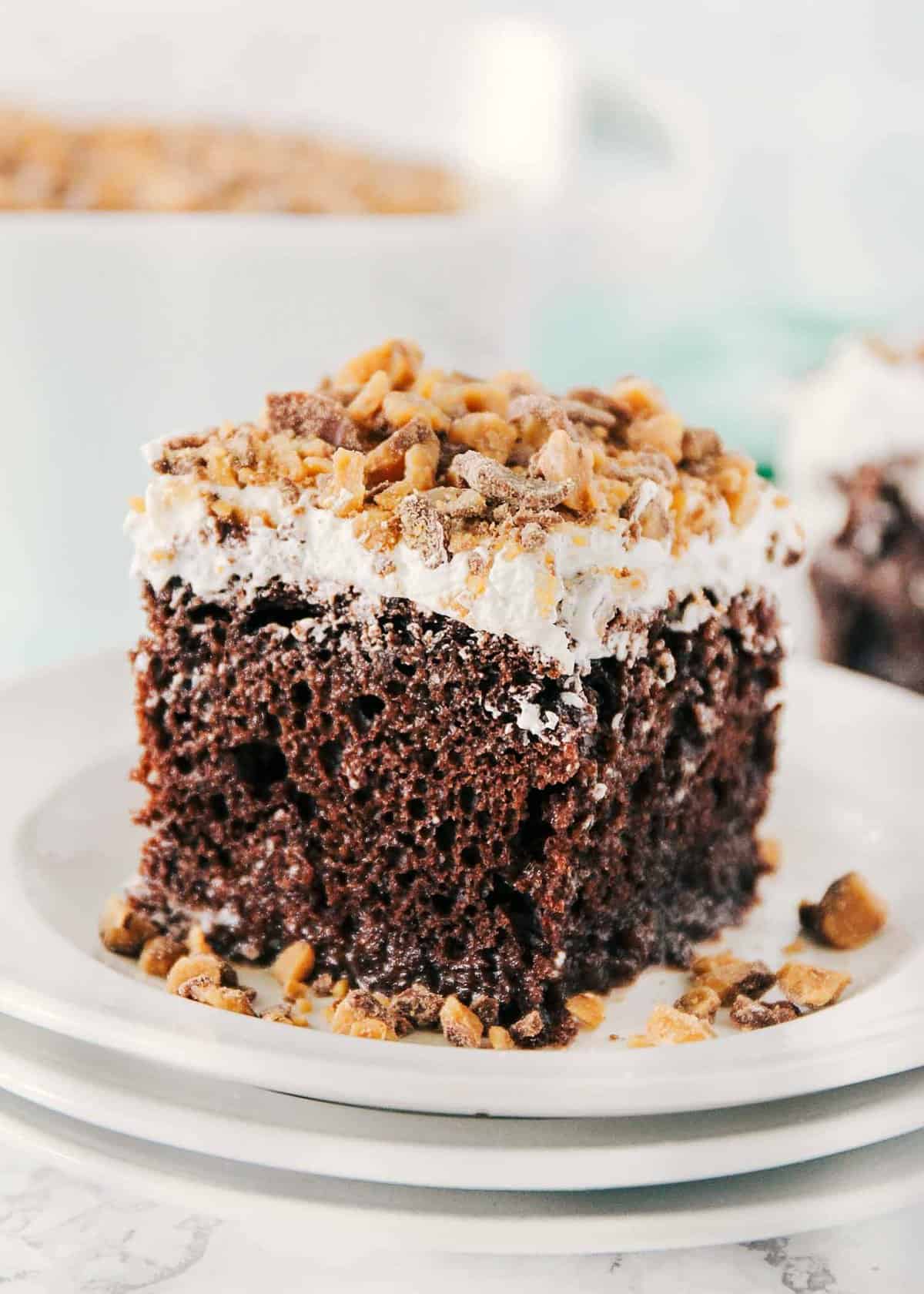 chocolate dessert cake with condensed milk infusion