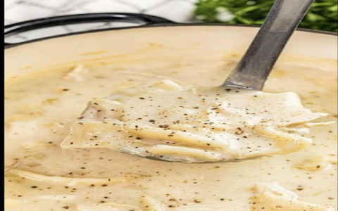chicken stew with mary b's pre-made dumplings