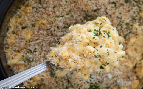 gooey mac and cheese by paula deen with creamy evaporated milk