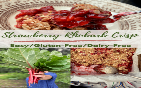 Strawberry Rhubarb Cobbler Gluten Free: Easy Recipe for a Delicious Dessert You Will Love!