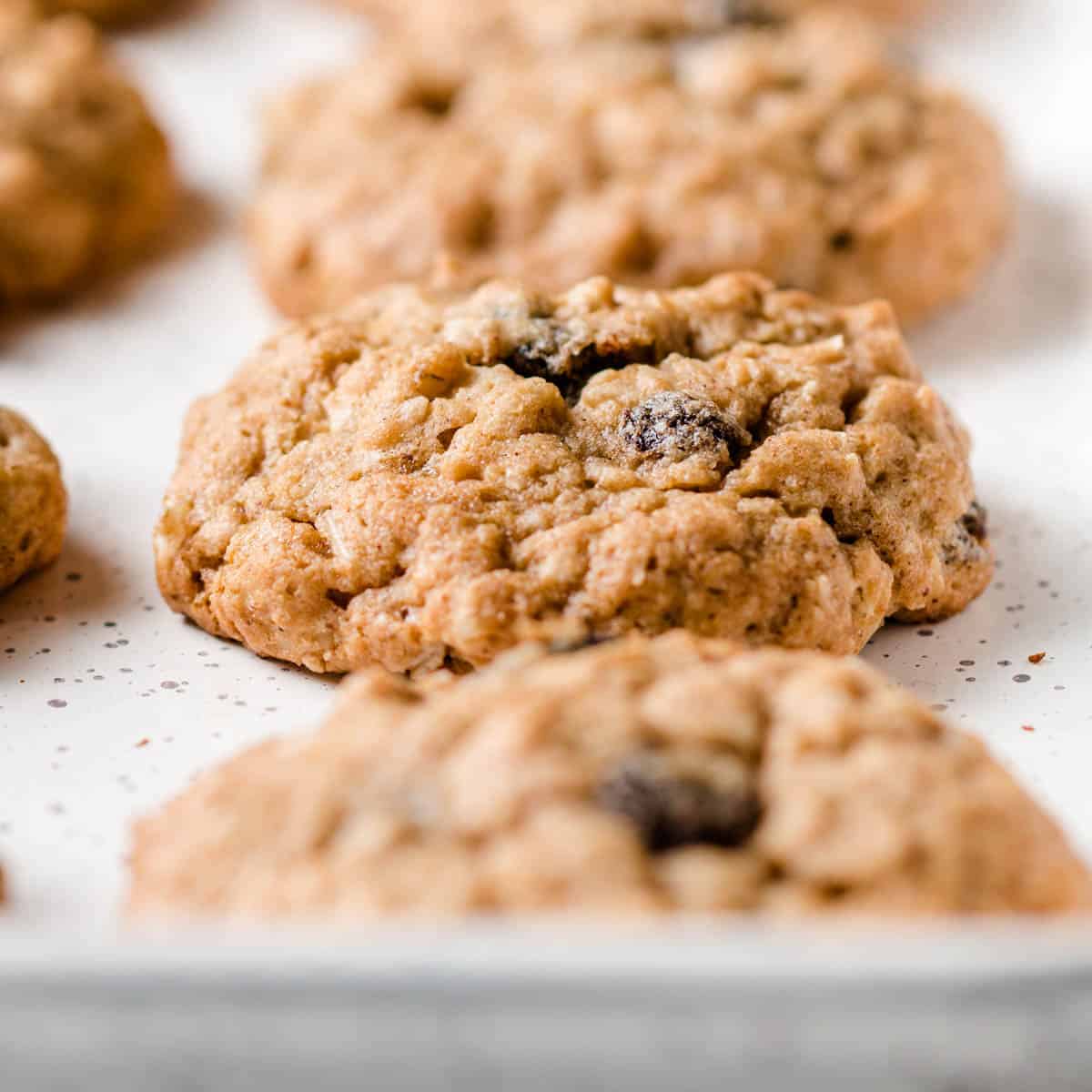 Craving the Best Gluten-Free Oatmeal Raisin Cookie Recipe? Here is the Easiest Way!