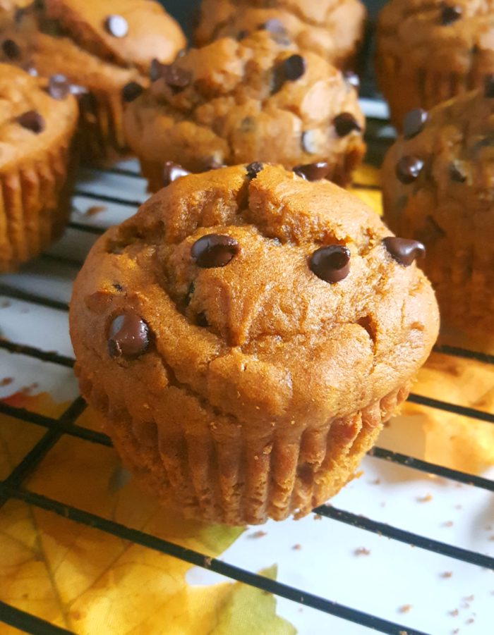 Quick Pumpkin Chocolate Chip Muffins Using Cake Mix Hack