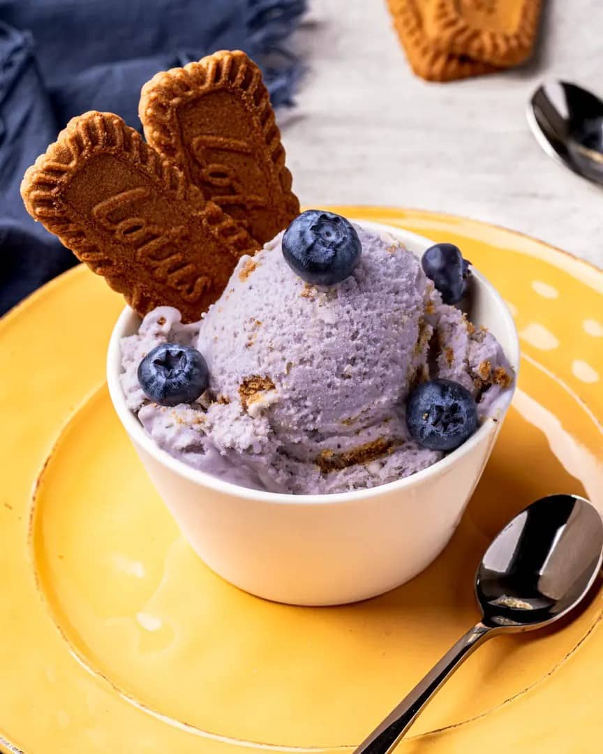 Best Homemade Treats: Cuisinart Ice Cream and Gelato Maker Recipes for Everyone to Enjoy Now