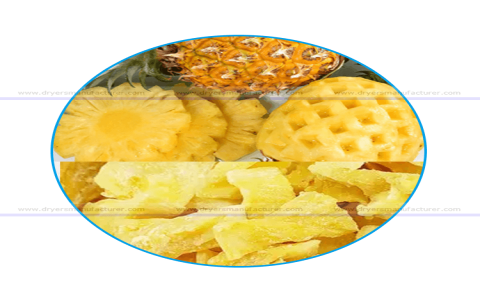 steps to dry pineapple using a dehydrator