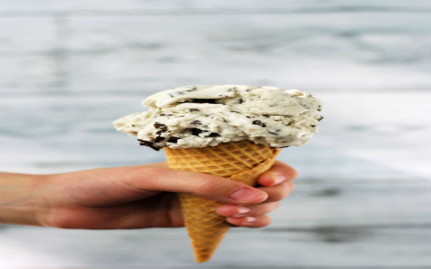Cuisinart Ice Cream Maker Recipes Dairy Free, So Good! (These Recipes Are Perfect For Everyone!)