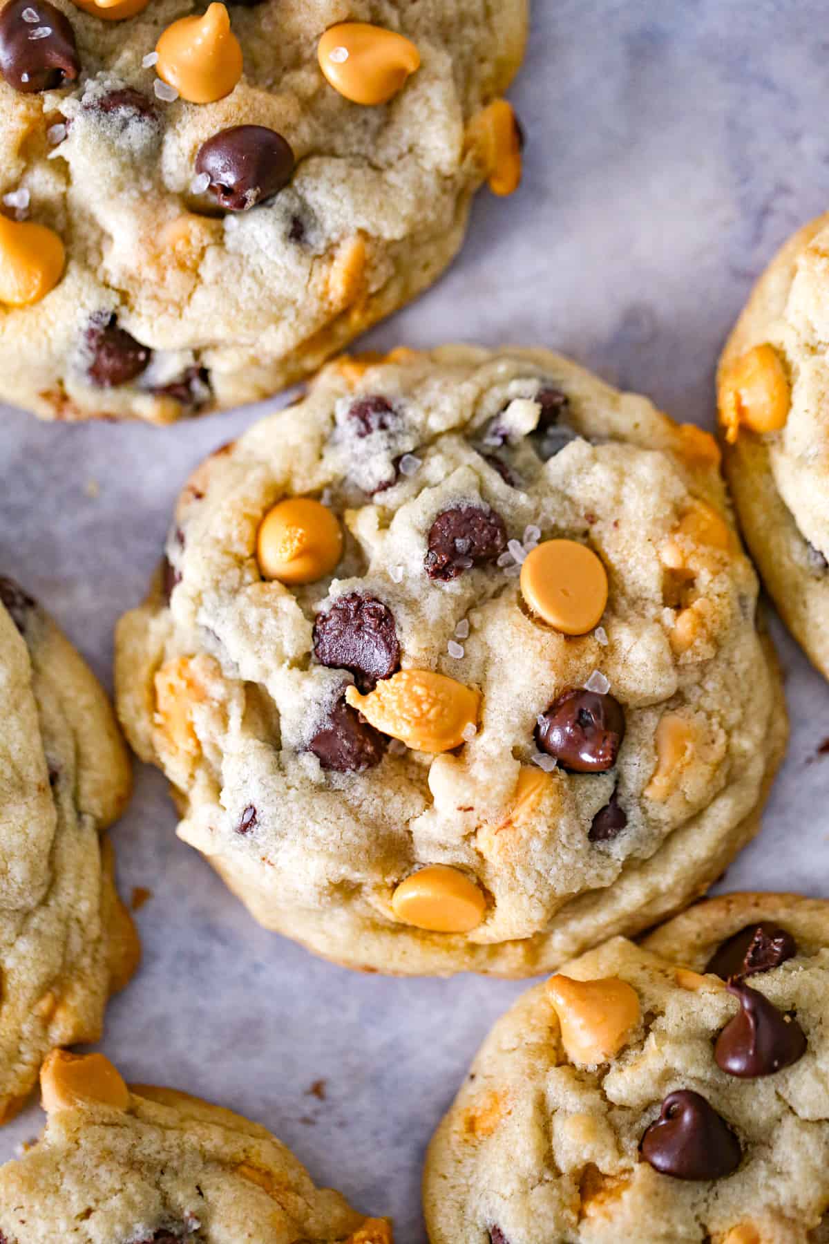 Gooey Butterscotch and White Chocolate Chip Cookies: You Need to Try This (Homemade Cookies)