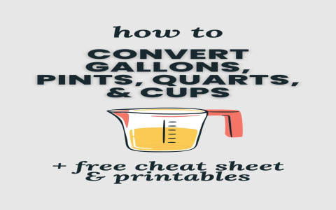 Milk Measurements: How Many Cups in a Half Gallon?
