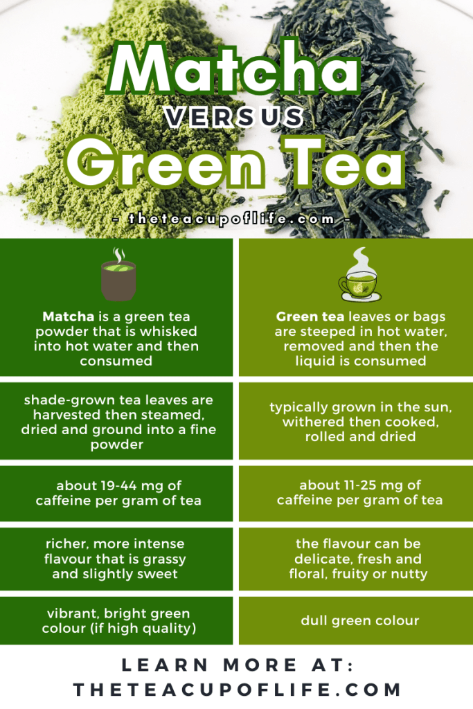 Green Tea and Matcha Difference: Simple Guide to These Two Teas