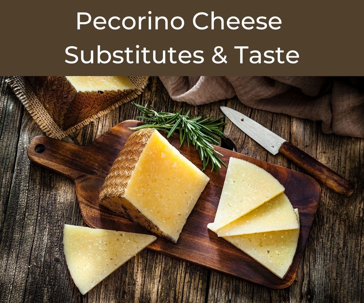 Pecorino Cheese Substitute: Quick and Easy Options