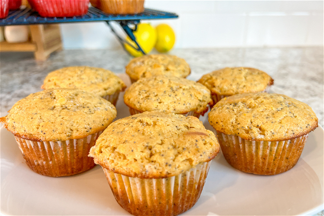 lemon poppy seed muffins with sourdough discard