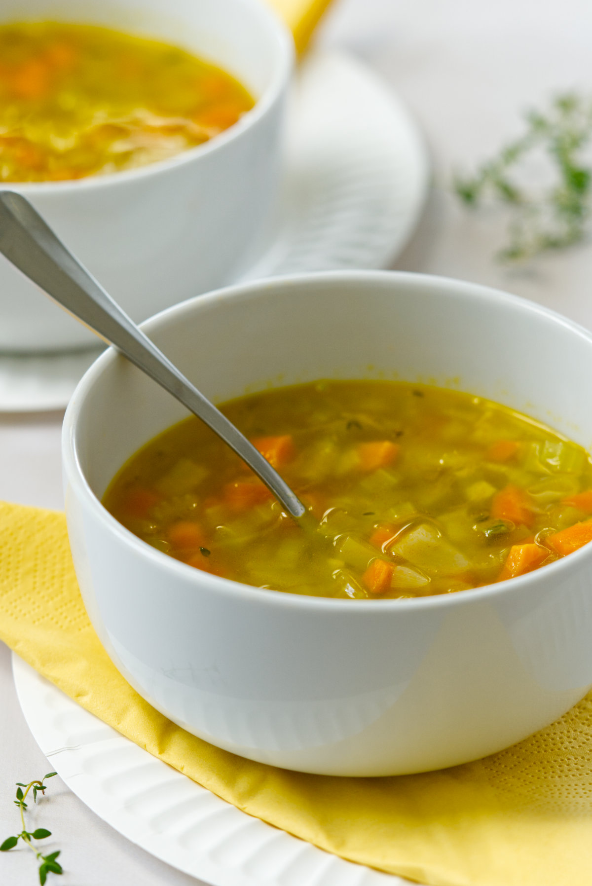 Healthy Recipes with Carrots and Celery and Onions for the Family