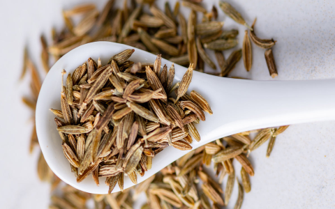 Substitute Caraway Seeds: What to Use When Youre Out?