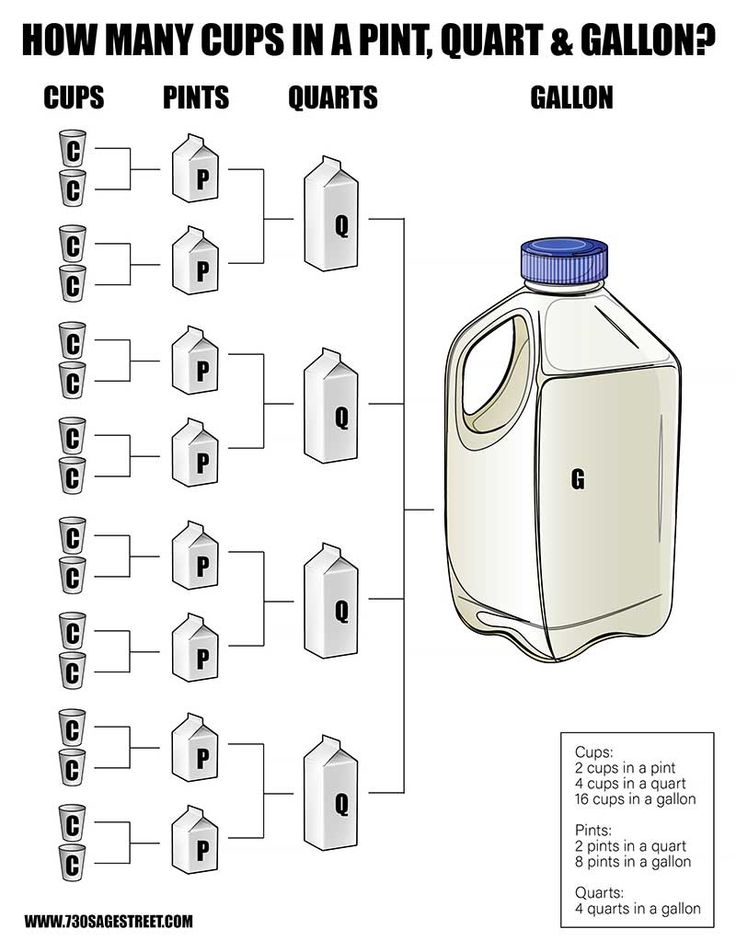 Milk Measurements: How Many Cups in a Half Gallon?