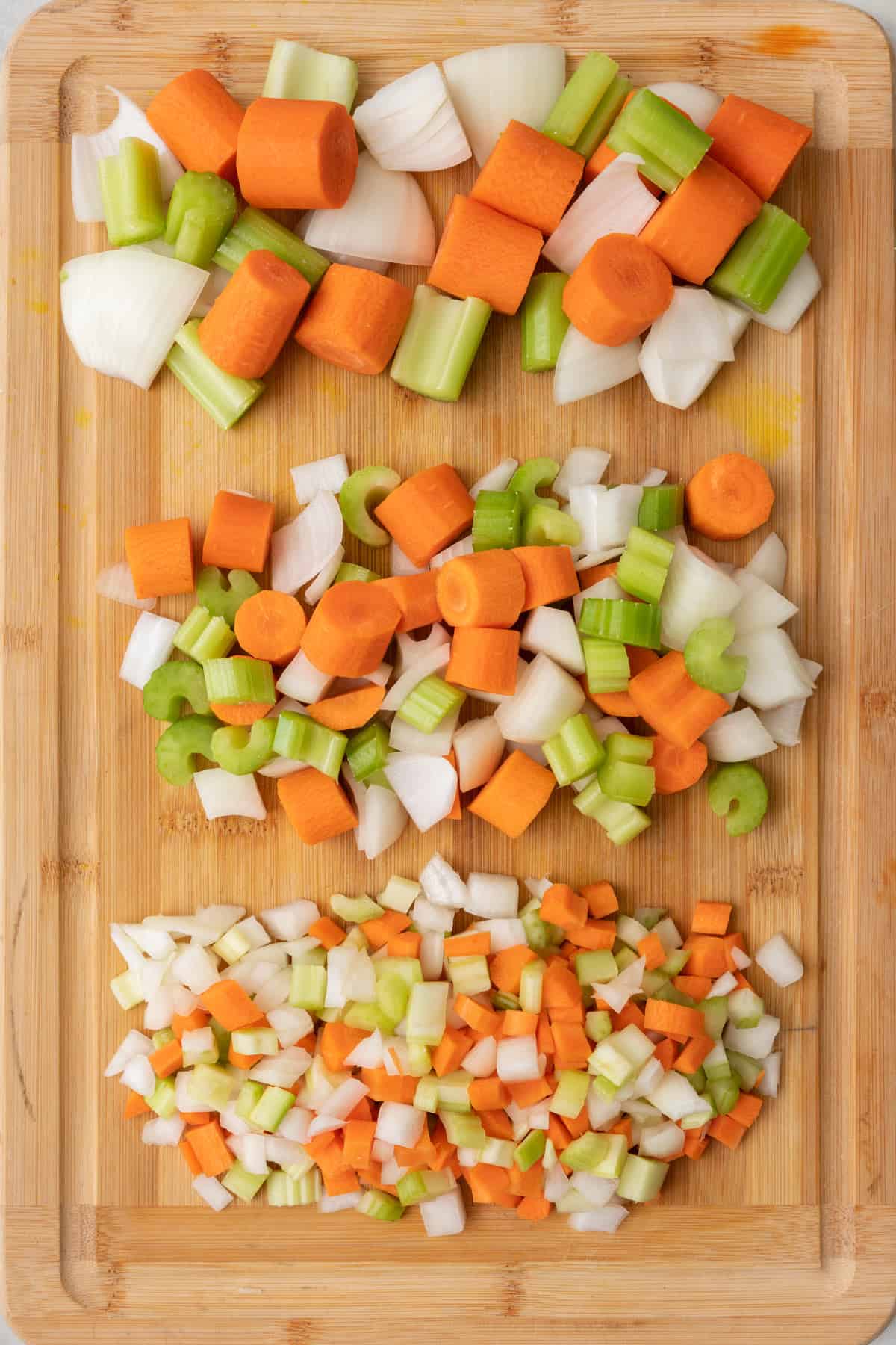 Healthy Recipes with Carrots and Celery and Onions for the Family