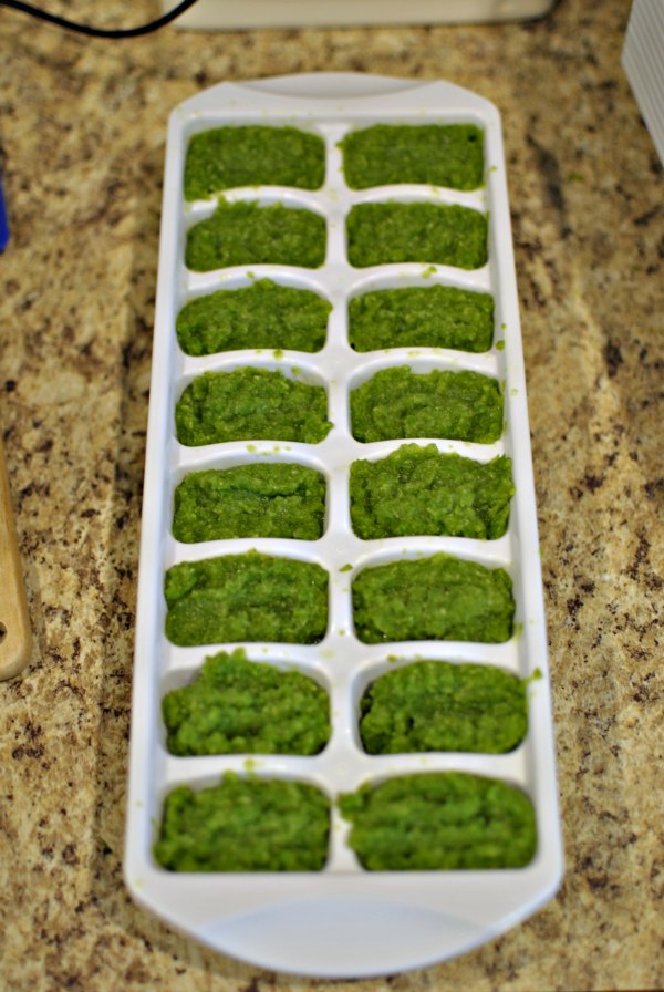 Make Baby Food Easy: Simple Bean Recipes for Squeeze Pouches