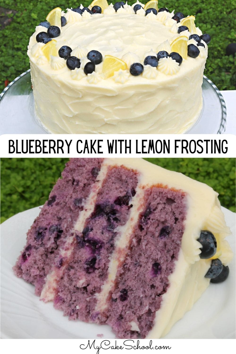 blueberry infused cake topped with cream cheese frosting
