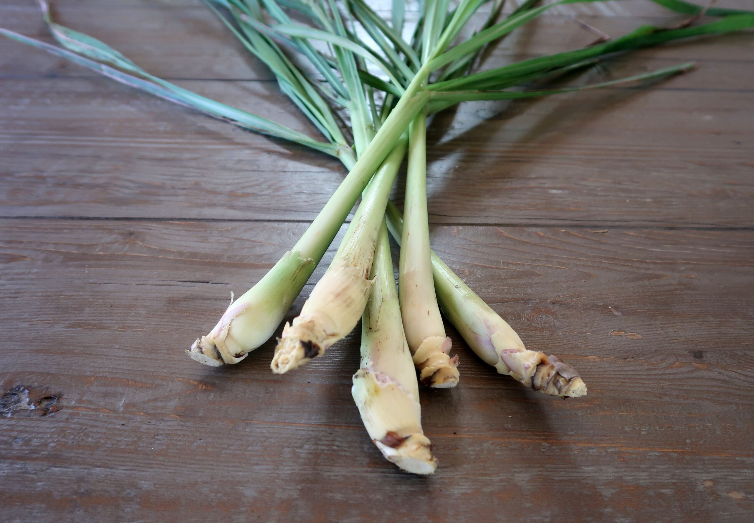 How Much Lemongrass Paste Equals One Stalk? Quick Guide for Cooking!