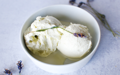 How to make lactose free ice cream recipes ice cream maker step by step guide to creamy delicious homemade recipes