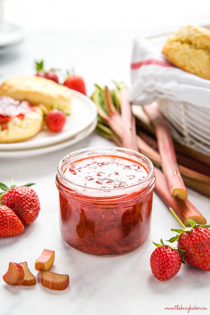 Strawberry Rhubarb Freezer Jam Recipe: Quick and Simple Steps for Beginners