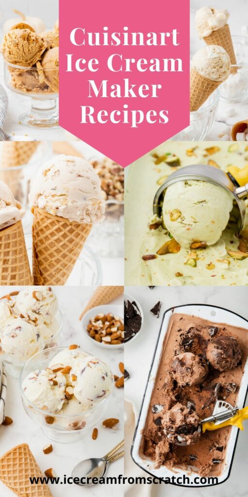 cuisinart ice cream maker recipe book pdf