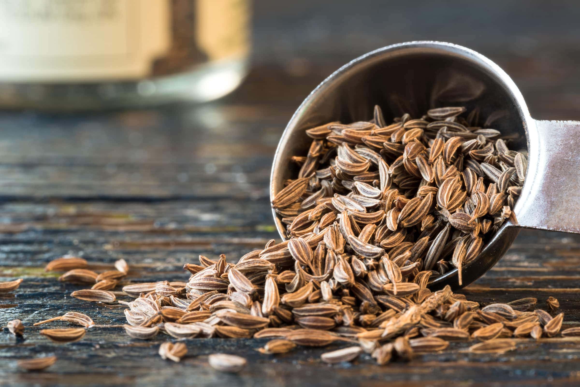 Caraway Seeds Substitute: What to Use in a Pinch? Best Alternatives For Caraway
