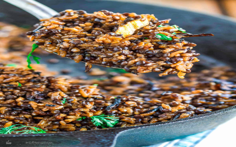 Best Syrian Dishes to Make at Home: Easy Guide for Authentic Flavors