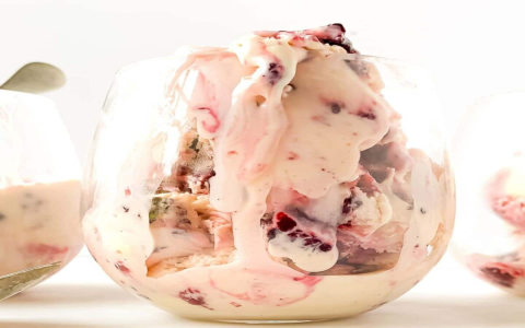 cuisinart ice cream maker recipe book pdf