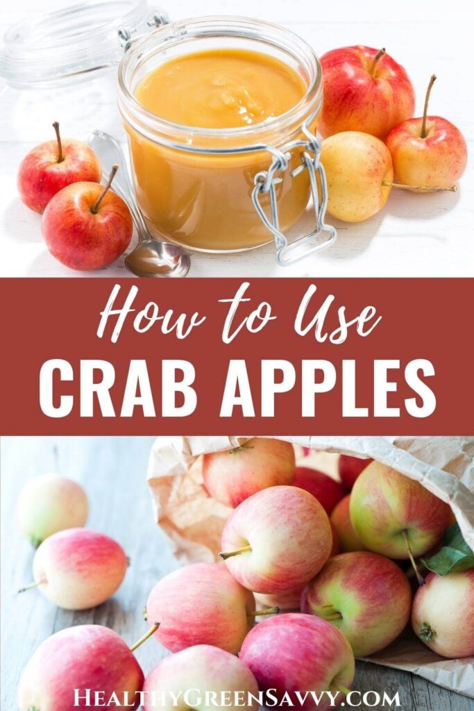 What Can You Make Out of Crab Apples? Best Ways to Use Them.
