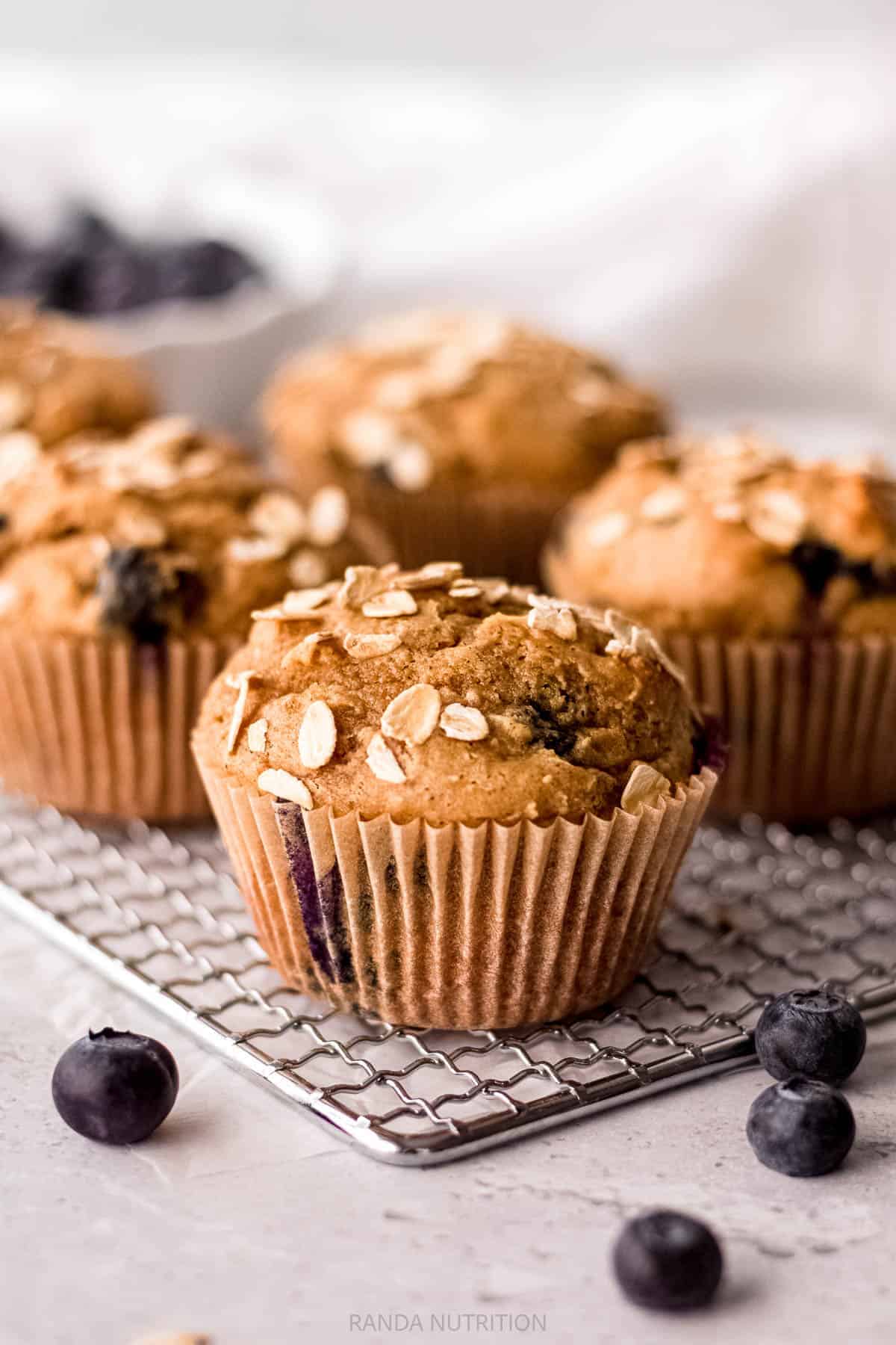 How to Make Blueberry Muffins with Protein Powder? A Simple Guide for Beginners!