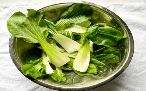 Easy Bok Choy Substitute Ideas: Simple Alternatives for Stir-Fries and Soups