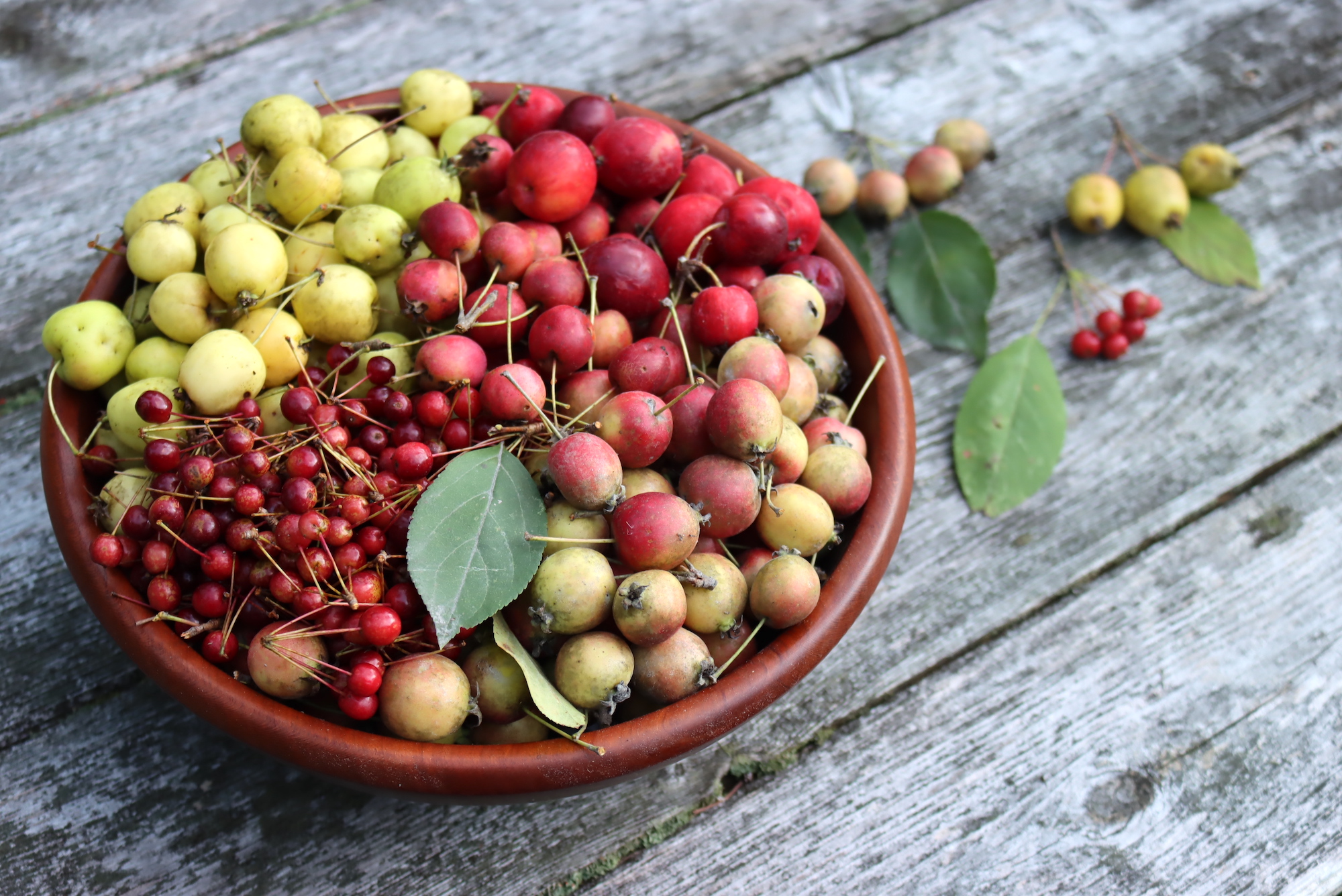 Crab apples are easy to cook with, here are some quick tips!