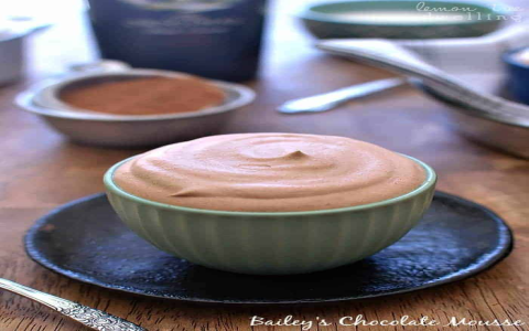 Ultimate Chocolate Kahlua and Baileys Pudding Shots (Follow These Easy Steps for the Perfect Party Dessert)