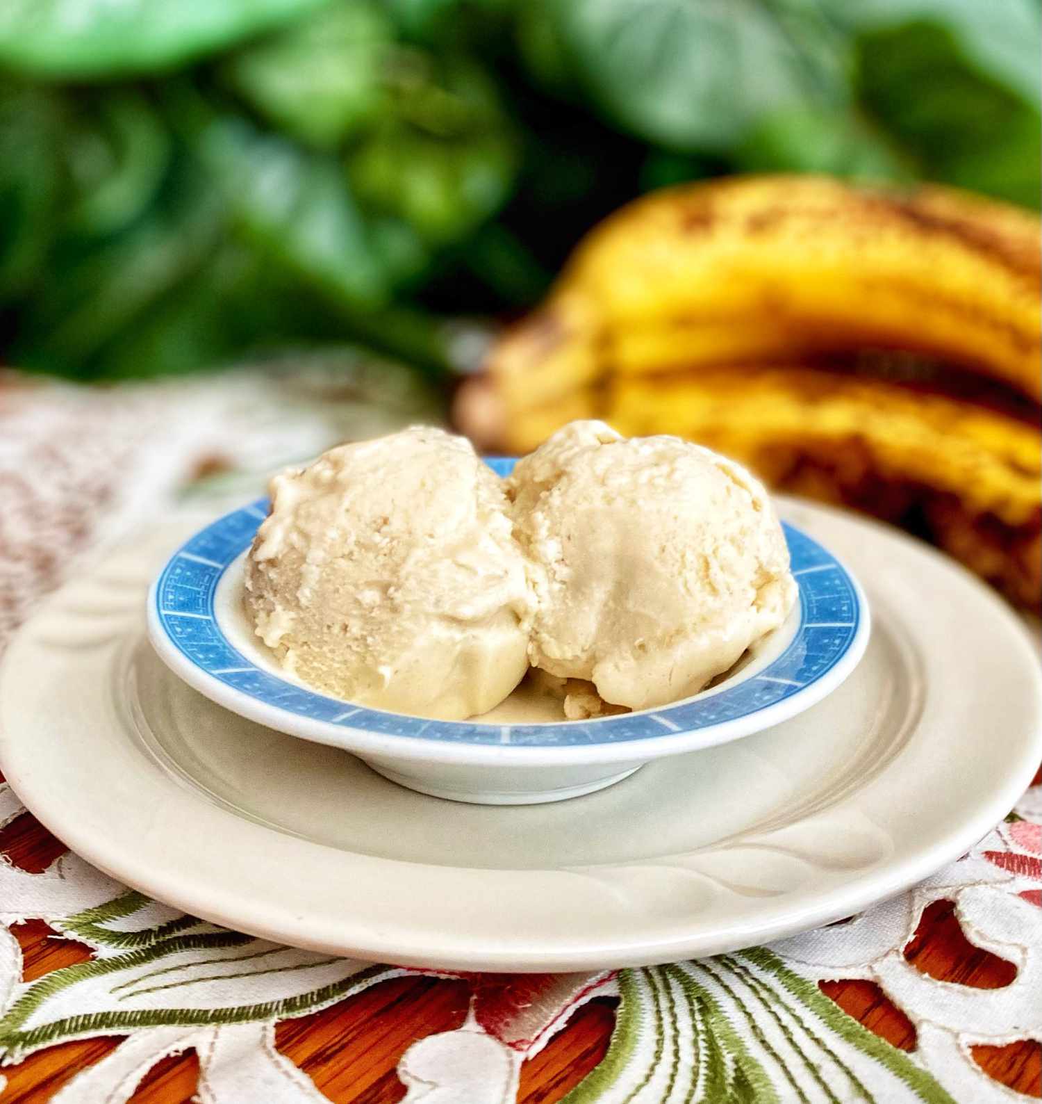 Banana Ice Cream Ninja Creami Healthy Recipe: Easy Guide for Beginners to Follow Now