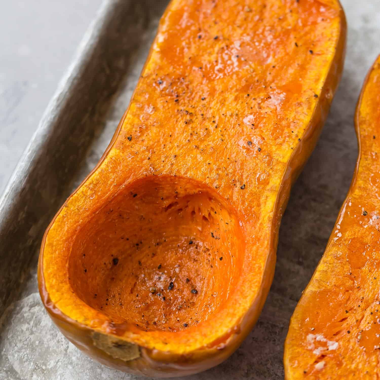 Coquina Squash: How to Cook and Enjoy It (Learn the Best Ways to Prepare this Squash)