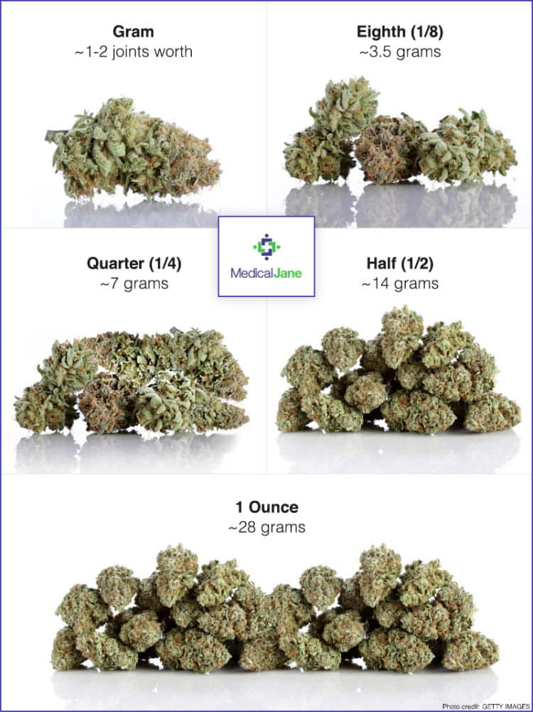 How many grams is a quarter? Here is a quick and easy guide for you!