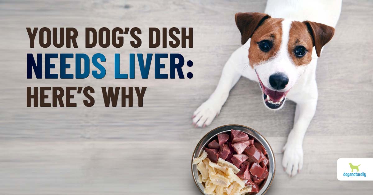 Turkey Liver for Dogs: Is It Safe? (Vet Advice and Feeding Guidelines)