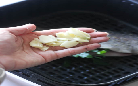 How to air fry 0.5 lb trout? Simple steps for beginners!