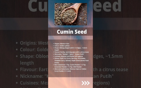 Caraway Seed Substitute: Best Options for Cooking and Baking